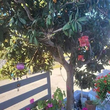Greek Memories Boutique דירה פליראקי